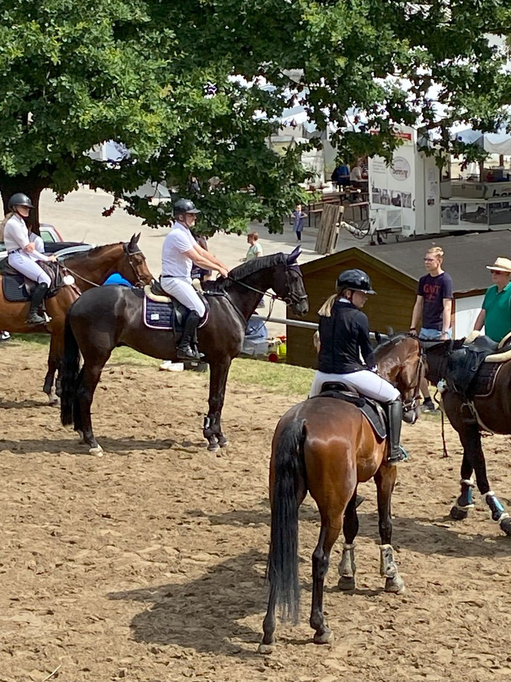 Galerie-01-Kreisreiterverband_Steinfurt_e_V-10