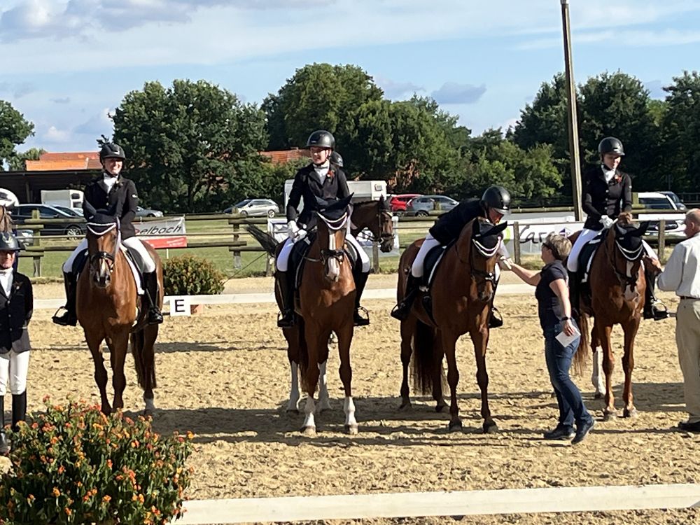 Galerie-01-Kreisreiterverband_Steinfurt_e_V-29