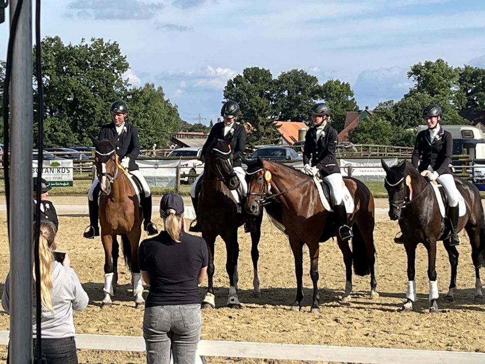 Galerie-01-Kreisreiterverband_Steinfurt_e_V-32