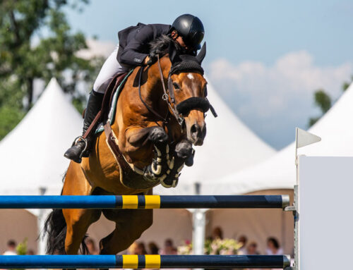 Finale Sparkassen Cup