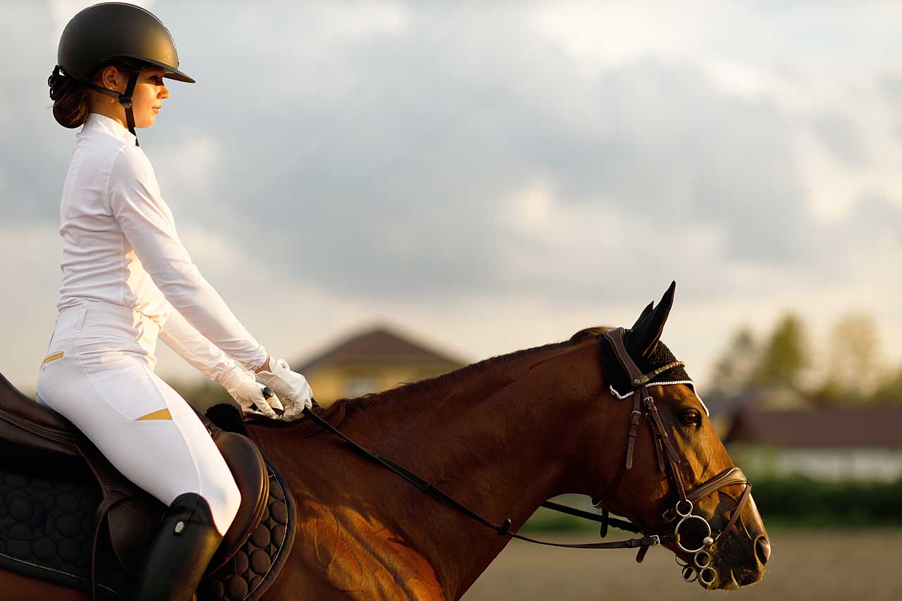 Kreisreiterverband-Steinfurt-e_V-Kreismeisterschaften-2 Kreismeisterschaften - Kreisreiterverband Steinfurt e.V.