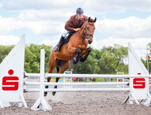 Sparkassen Springcup