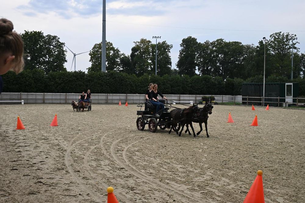 100-Jahre-Zucht-Fahr-und-Reitverein-Riesenbeck-1