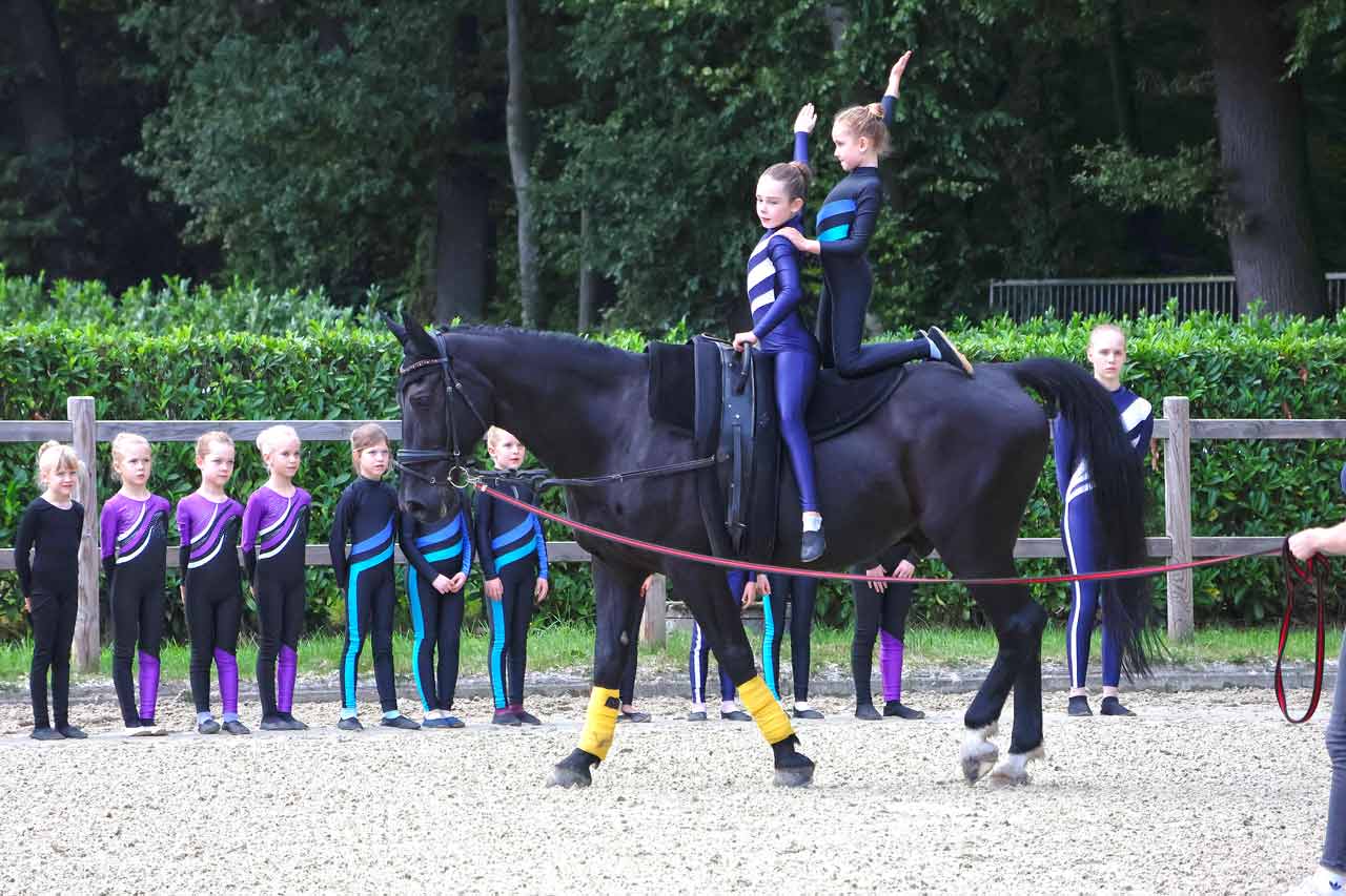 100-Jahre-Zucht-Fahr-und-Reitverein-Riesenbeck-Titel 100 Jahre Zucht-, Fahr- und Reitverein Riesenbeck