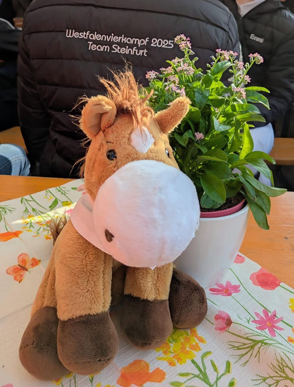 Vierkampf-Kreisreiterverband_Steinfurt-1225-5