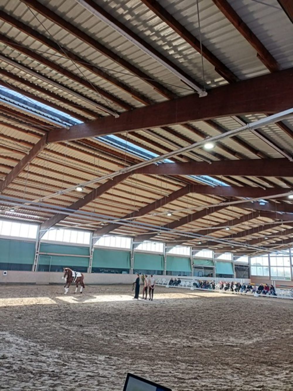 Votigieren-Nordwalde-Dressurfotos-Springen-Weidepferde-10 Voltigierfotos Kreisreiterverband Steinfurt e.V.