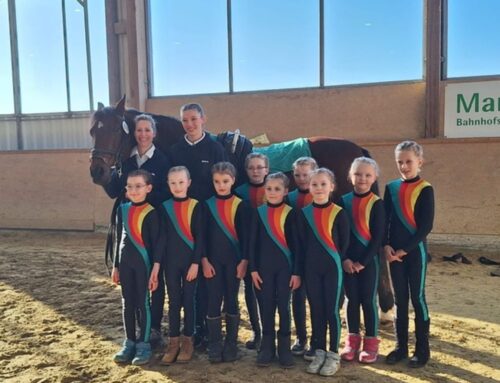 Pferdesport in Bildern – Voltigieren & Impressionen