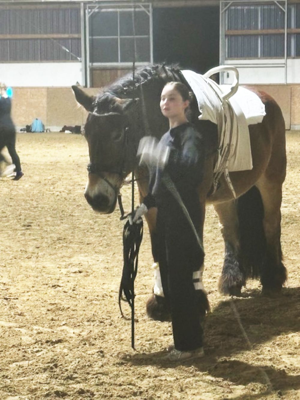 Votigieren-Nordwalde-Dressurfotos-Springen-Weidepferde-5 Voltigierfotos Kreisreiterverband Steinfurt e.V.