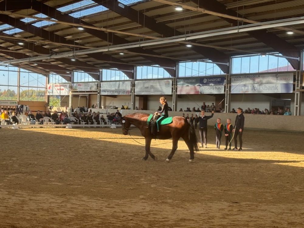 Votigieren-Nordwalde-Dressurfotos-Springen-Weidepferde-7 Voltigierfotos Kreisreiterverband Steinfurt e.V.