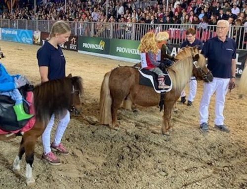 Münsterländer Pferdestärken Cup bei dem Turnier der Sieger vor dem Schloss