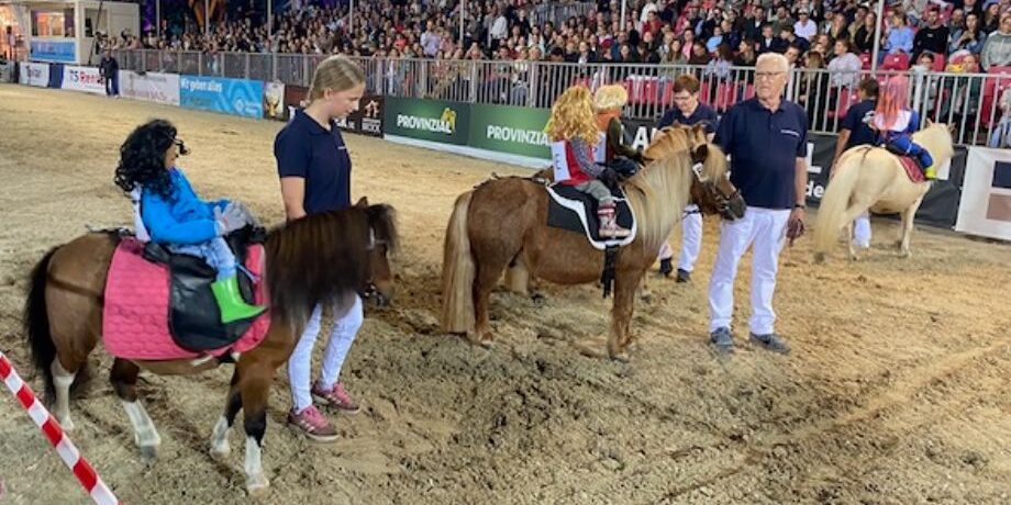 Münsterländer Pferdestärken Cup bei dem Turnier der Sieger vor dem Schloss